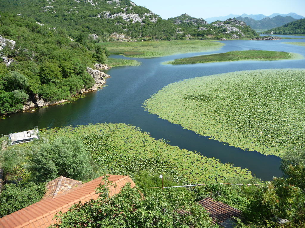 Studios Peric Sveti Stefan Rum bild